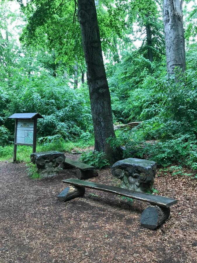 Ferienwohnung Morgensonne Am Kurpark Bad Berka - Parkplatz - Spielplatz - Wlan - 2 Schlafzimmer Eksteriør billede